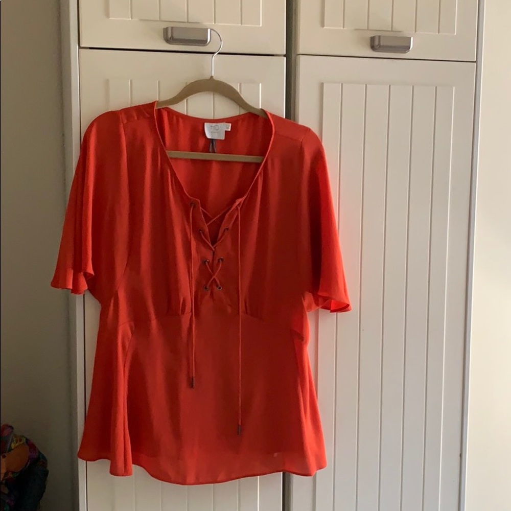 Sheer blouse flutter sleeve